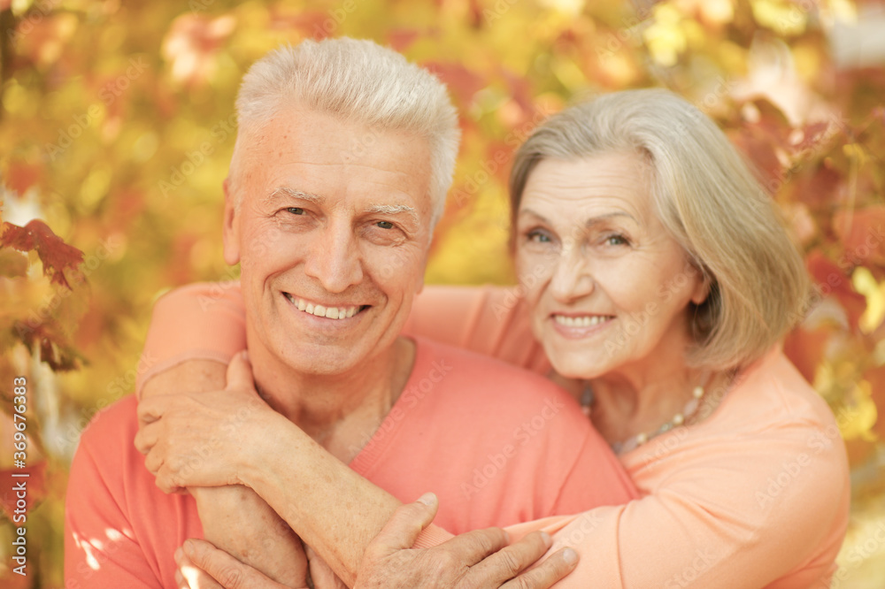 Beautiful senior couple hugging in the park