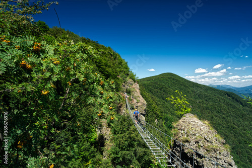 Via Ferrata metal bridge over the forest extra wide panorama photo