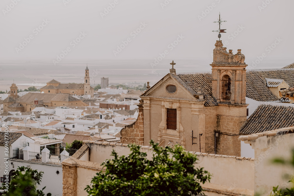 Landscape of Osuna city in Andalusia with churches and old houses
