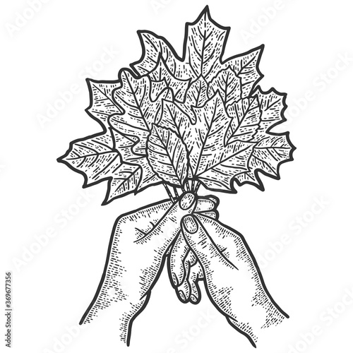 Hands hold a bouquet of autumn leaves. Sketch scratch board imitation.