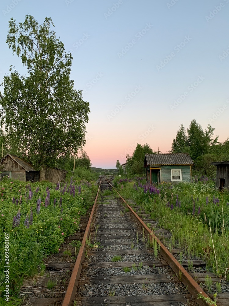 Railway in the village, evening sky, wild flowers
