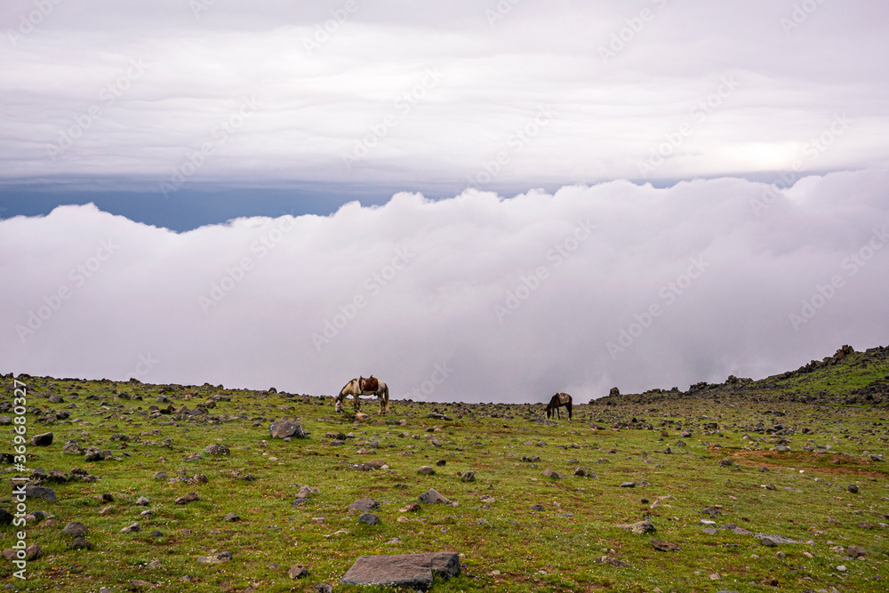 Foto de ase camp at Ararat Mountain, approximate elevation of 3300 ...