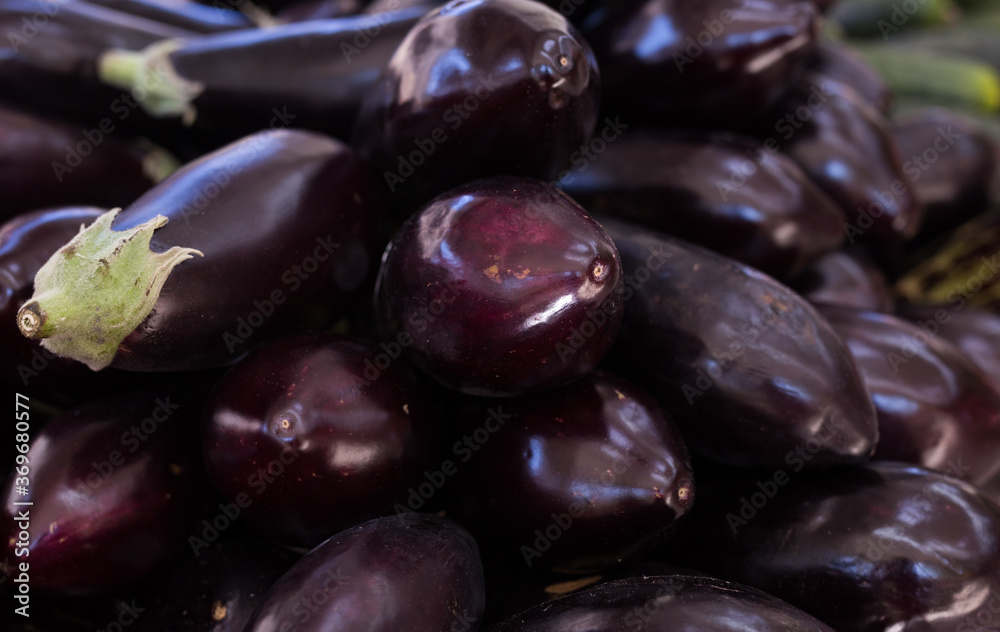 Fresh eggplant on market counter Fresh eggplant on market counter