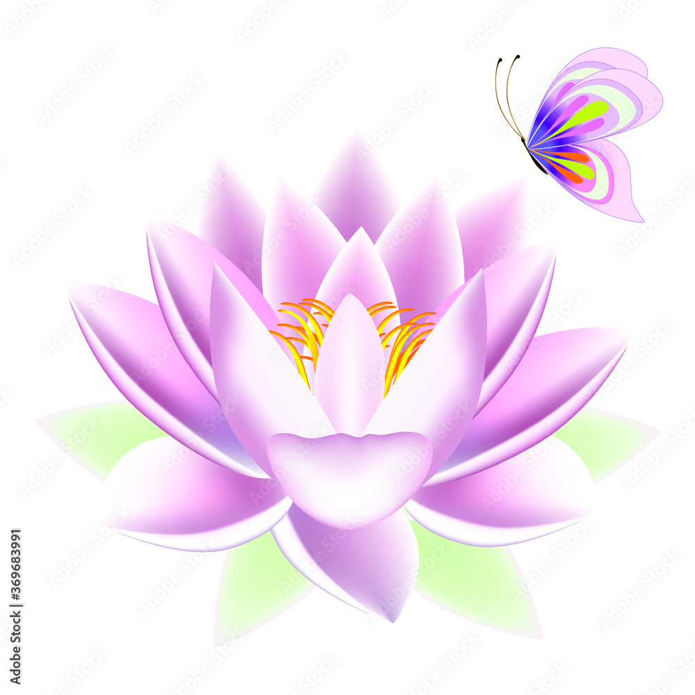 Lotus with a butterfly.