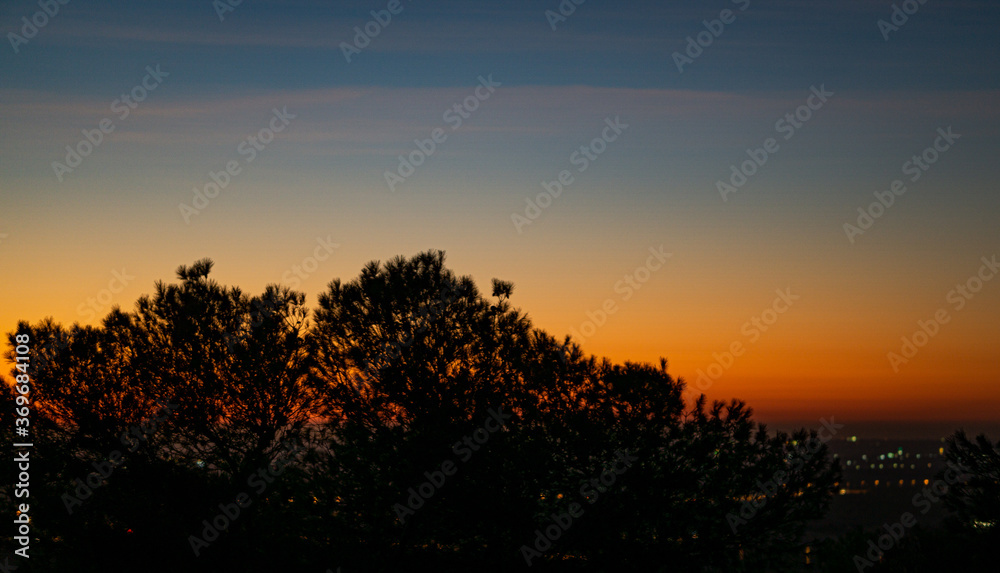 Fototapeta premium sunset in the field