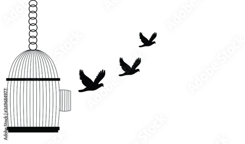 Bird Flying Out of Cage,Freedom Concept,stop cruelty to animals let animals be free in nature.
