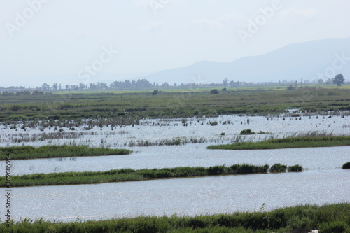 paisajes del delta del ebro en tarragona