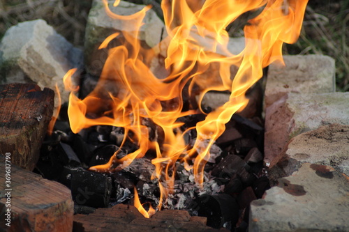 Bright flame of an open fire in nature. Bright red orange fire in the grill