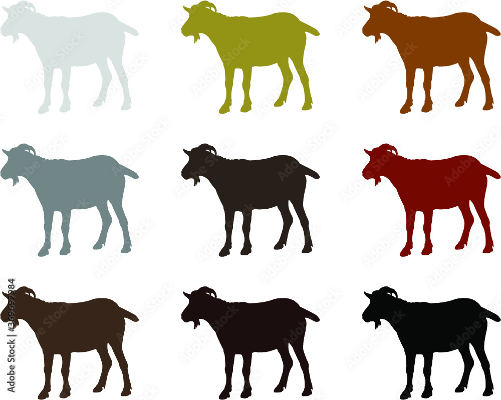 farm goat animals collection vector farm goat animals collection vector