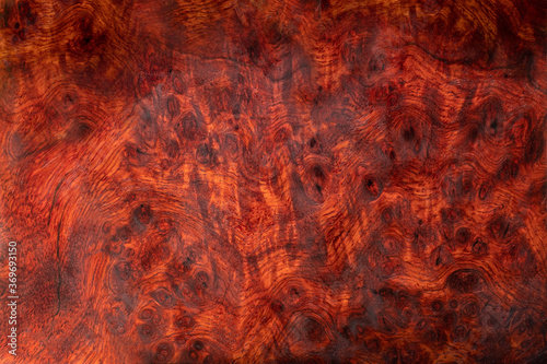 Nature Burma padauk burl wood striped are wooden beautiful pattern for crafts or art background