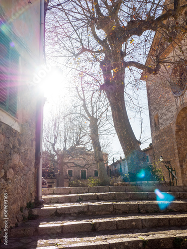 cartoixa valldemossa photo