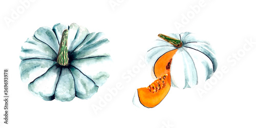 watercolor blue pumpkins on a white background