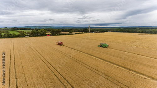 Combine harvesters cultivating wheat fields in rural Ireland