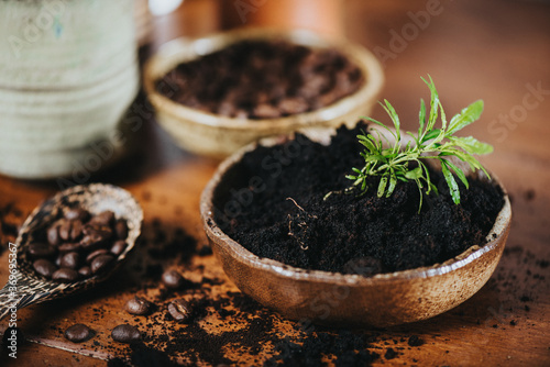 Using used coffee grounds as fertilizer
