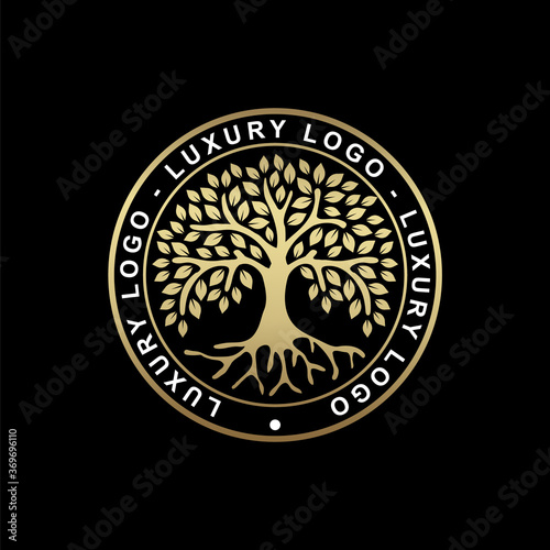 Canvas Print Root or tree, tree of life vector symbol with a circle shape