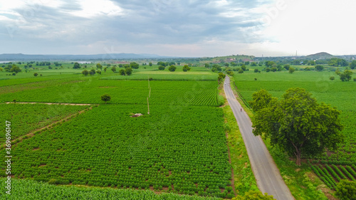 Green fields and road aerial view