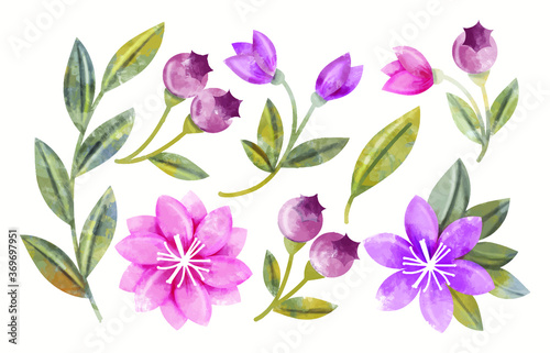 pink and white tulips watercolor art vector illustration