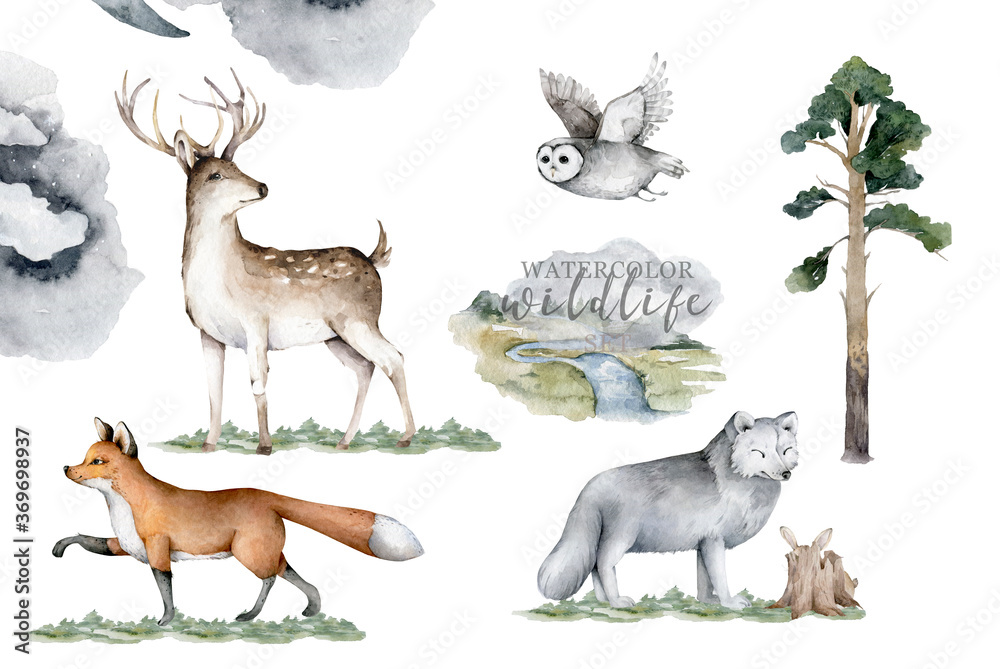 Forest animals. Realistic winter cute walking wildlife fox, deer, owl and landscape isolated illustration on white background. Vilage with wildlife. Predator, Farm