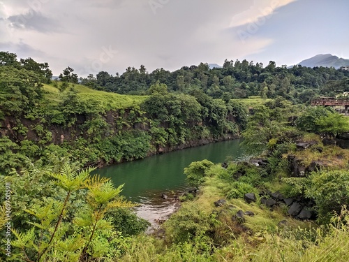 river and forest