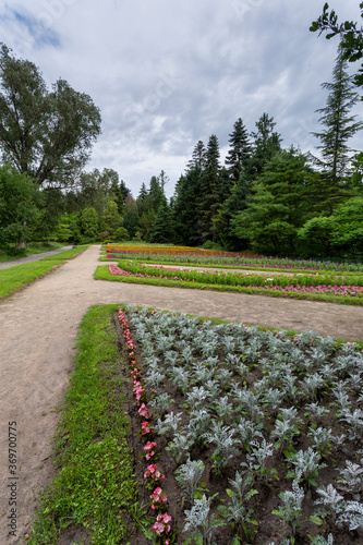 Botanical garden of Vacratot, Hungary photo