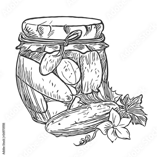 Jar of pickled cucumbers and vegetable with leaves line vector illustration