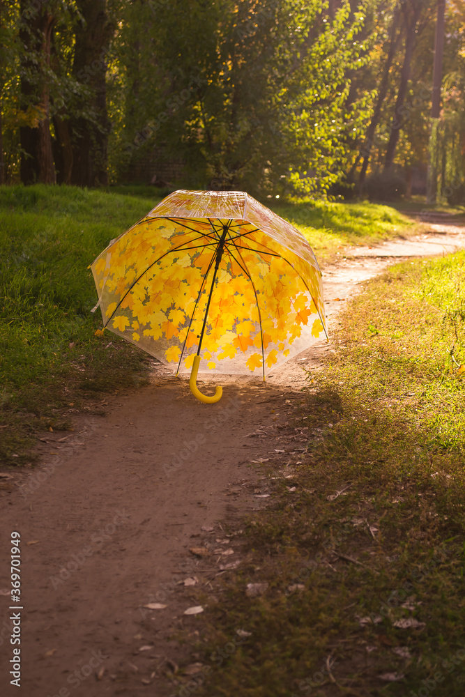 Umbrella with a pattern of autumn leaves. Path. Garland on the umbrella.