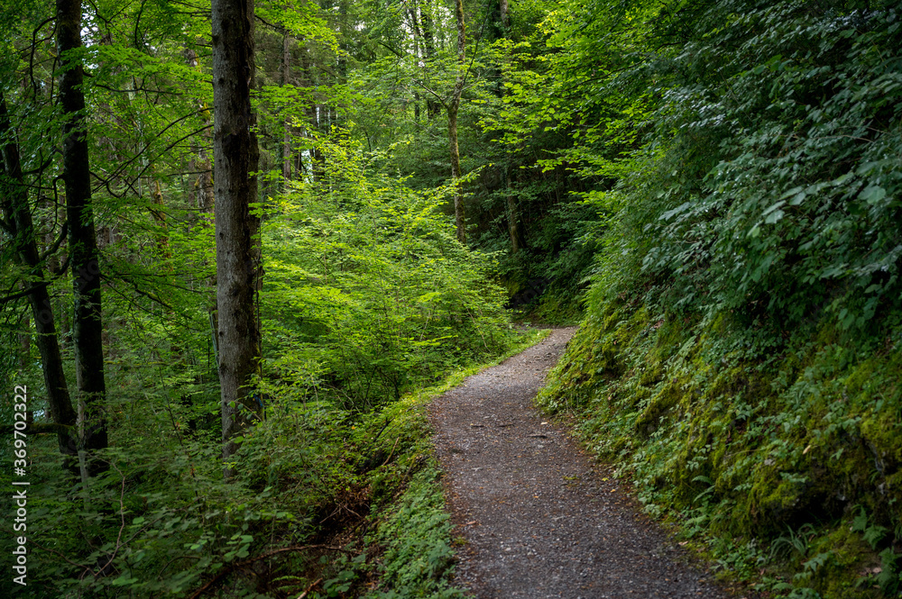 Wanderweg zu den Giessbachfällen durch den Wald Wanderweg zu den Giessbachfällen durch den Wald