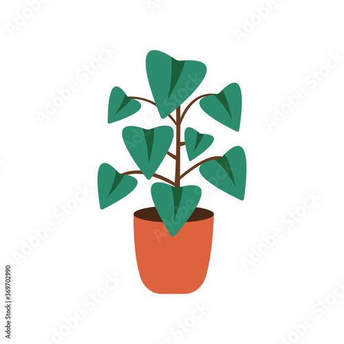 Cactus and succulent plant growing in pots. Vector Cacti and succulents collection of house plants.
