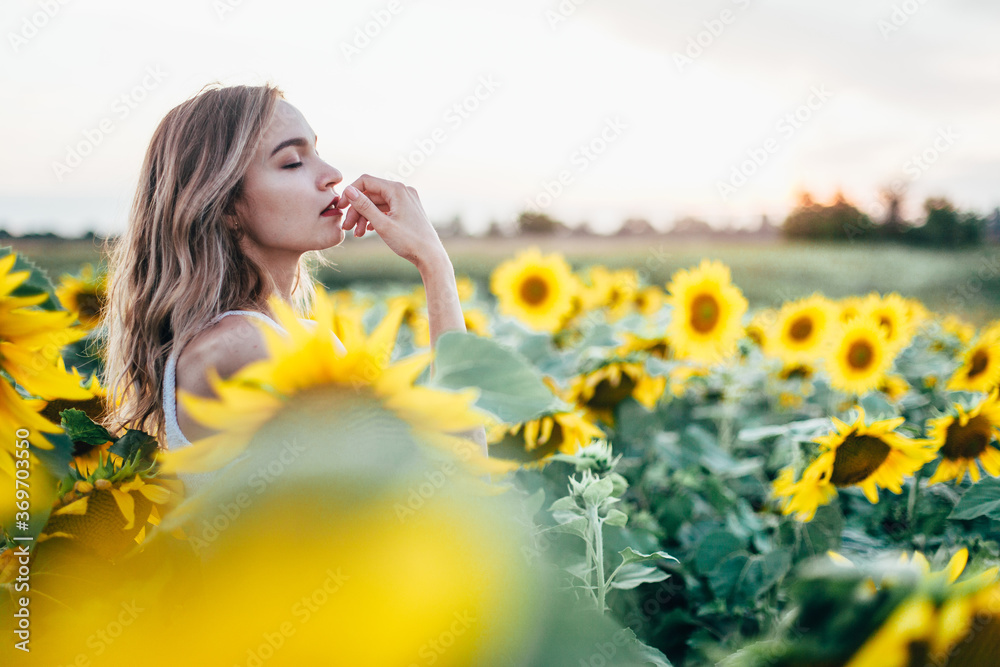 Young, slender girl in a white T-shirt poses at sunset in a field of sunflowers Young, slender girl in a white T-shirt poses at sunset in a field of sunflowers