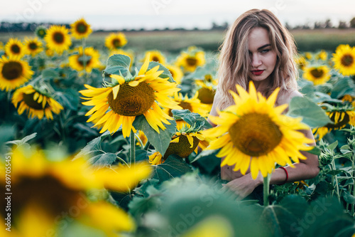 Young, slender girl topless poses at sunset in a field of sunflowers