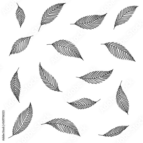A set of decorative elements made of tree leaves. Hand ink drawing.