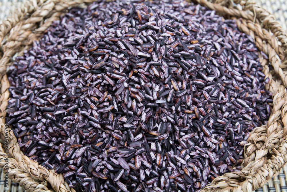 Natural Organic Riceberry Rice in Thailand