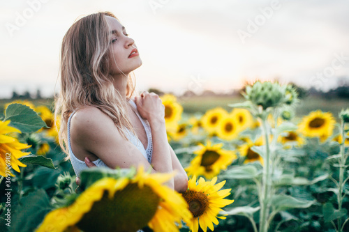 Young  slender girl in a white T-shirt poses at sunset in a field of sunflowers