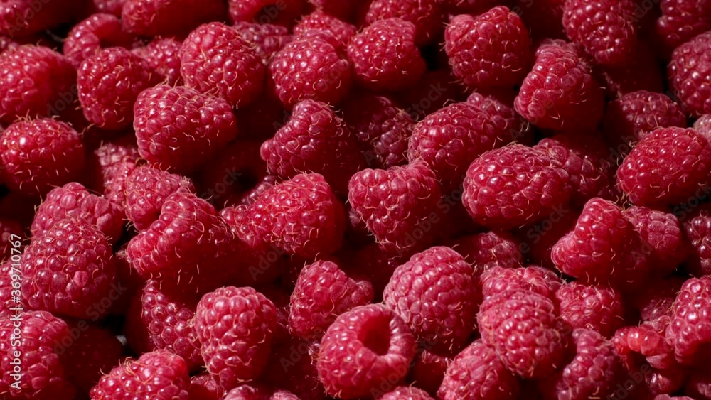 Tasty sweet fruit - ripe raspberry rotating background. Berries is full of antioxidant. Proper vegan nutrition. Healthy lifestyle concept.