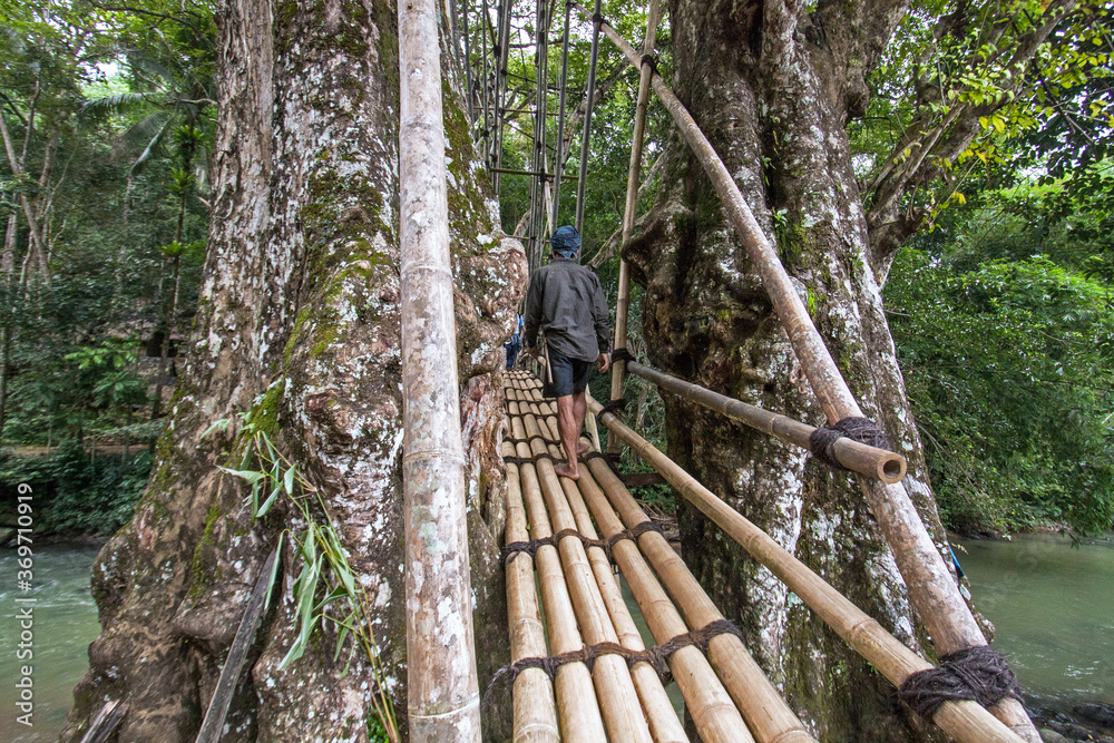 21 December 2008, Banten, West Java, Indonesia: Man Crosses a Bamboo Bridge at Baduy Tribe Village