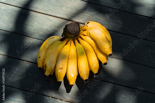 Fotografija tropical fruits, background