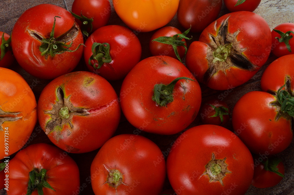 Abundance ripe organic tomatoes on dark rustic background. Colorful tomatoes 