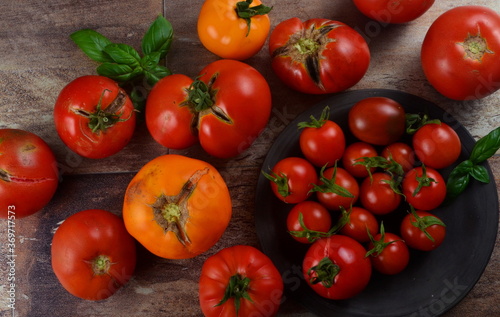 Abundance ripe organic tomatoes on dark rustic background. Colorful tomatoes 