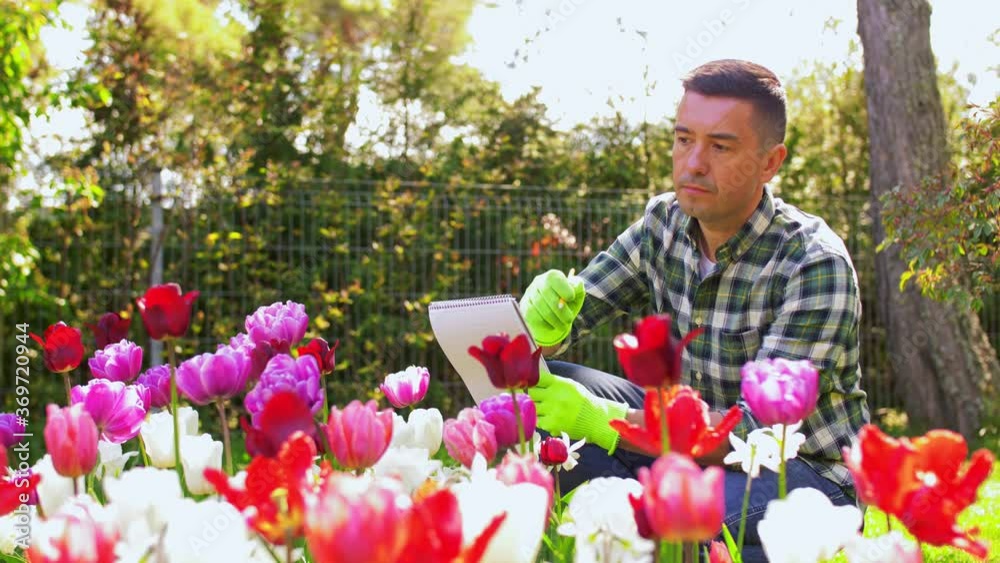 gardening and people concept - middle-aged man writing to notebook and taking care of flowers at summer garden gardening and people concept - middle-aged man writing to notebook and taking care of flowers at summer garden