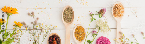 panoramic shot of herbs in spoons and flowers on white wooden background, naturopathy concept photo