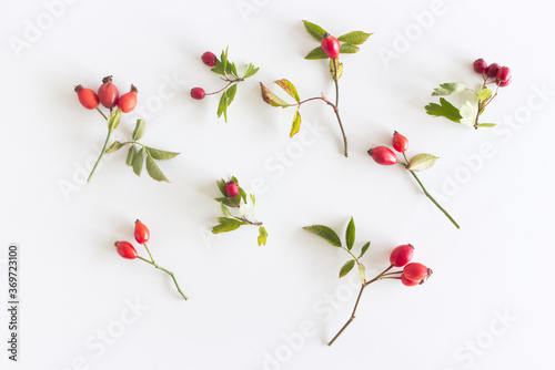 Autumn composition with red rose-hips and Cornelian cherry dogwood on white table background. Fall, Halloween and Thanksgiving design. Flat lay, top view.