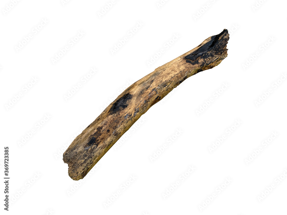 Wet broken brown wooden log Isolated on white background with clipping path. Renewable resource of a energy. Environmental concept.. Wet broken brown wooden log Isolated on white background with clipping path. Renewable resource of a energy. Environmental concept..