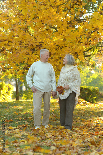Portrait of beautiful happy senior couple in park