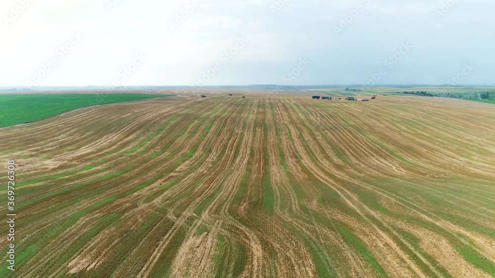 Rural aerial landscape with multicolor agriculture fields. Canola oilseed and oat, wheat fields. Agricultural parcels of different crops in yellow and green colors. Rural aerial landscape with multicolor agriculture fields. Canola oilseed and oat, wheat fields. Agricultural parcels of different crops in yellow and green colors.