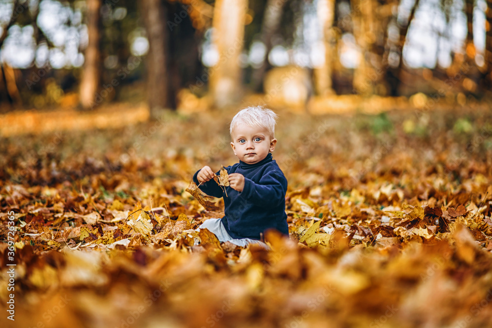 Little cute baby boy have fun outdoors in the park in autumn time. Little cute baby boy have fun outdoors in the park in autumn time.