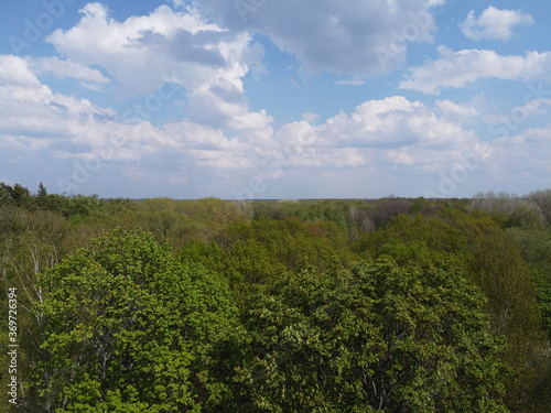 Blue cloudy skies over a dense forest  aerial view. Beautiful cloudy sky over the forest.