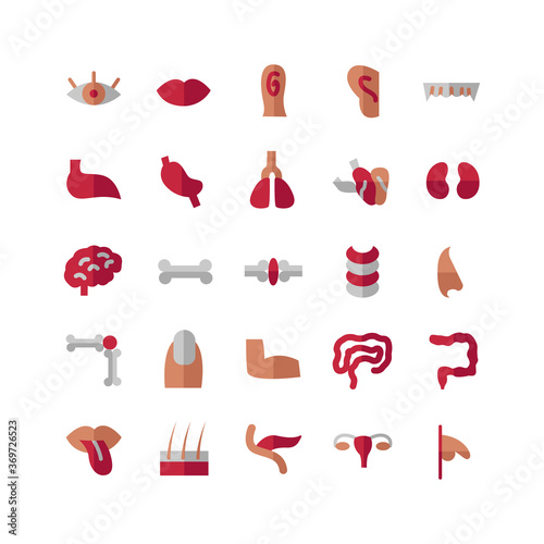 Human Organ icon set vector flat for website, mobile app, presentation, social media. Suitable for user interface and user experience.