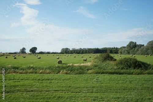 Impressionen auf der Insel Rügen © hecht7