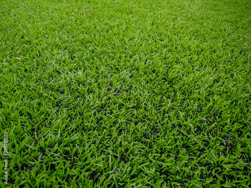 Football field, astro turf surface. Close up of throw in, kick off and corner area. Lushed green football pitch.