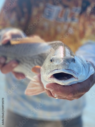 fish in the hand